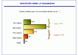 Seguridad Pública