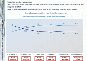 Elección Acción Nacional